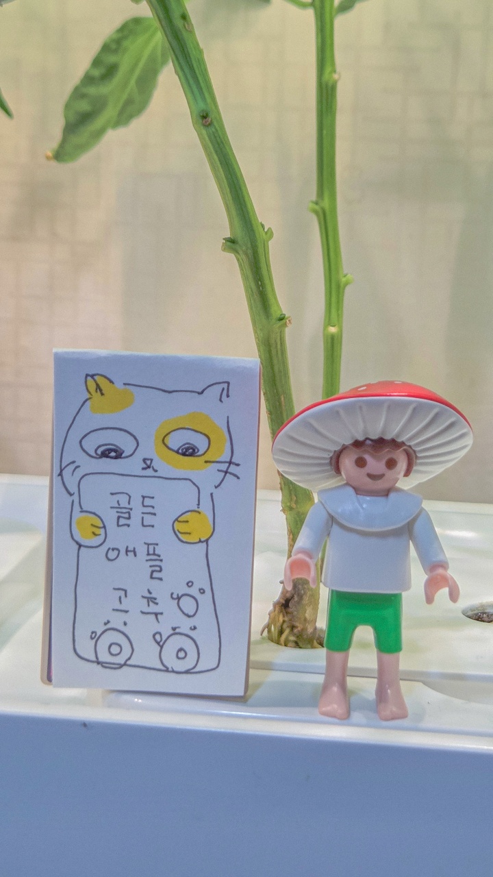 🐱 이름표 만들기