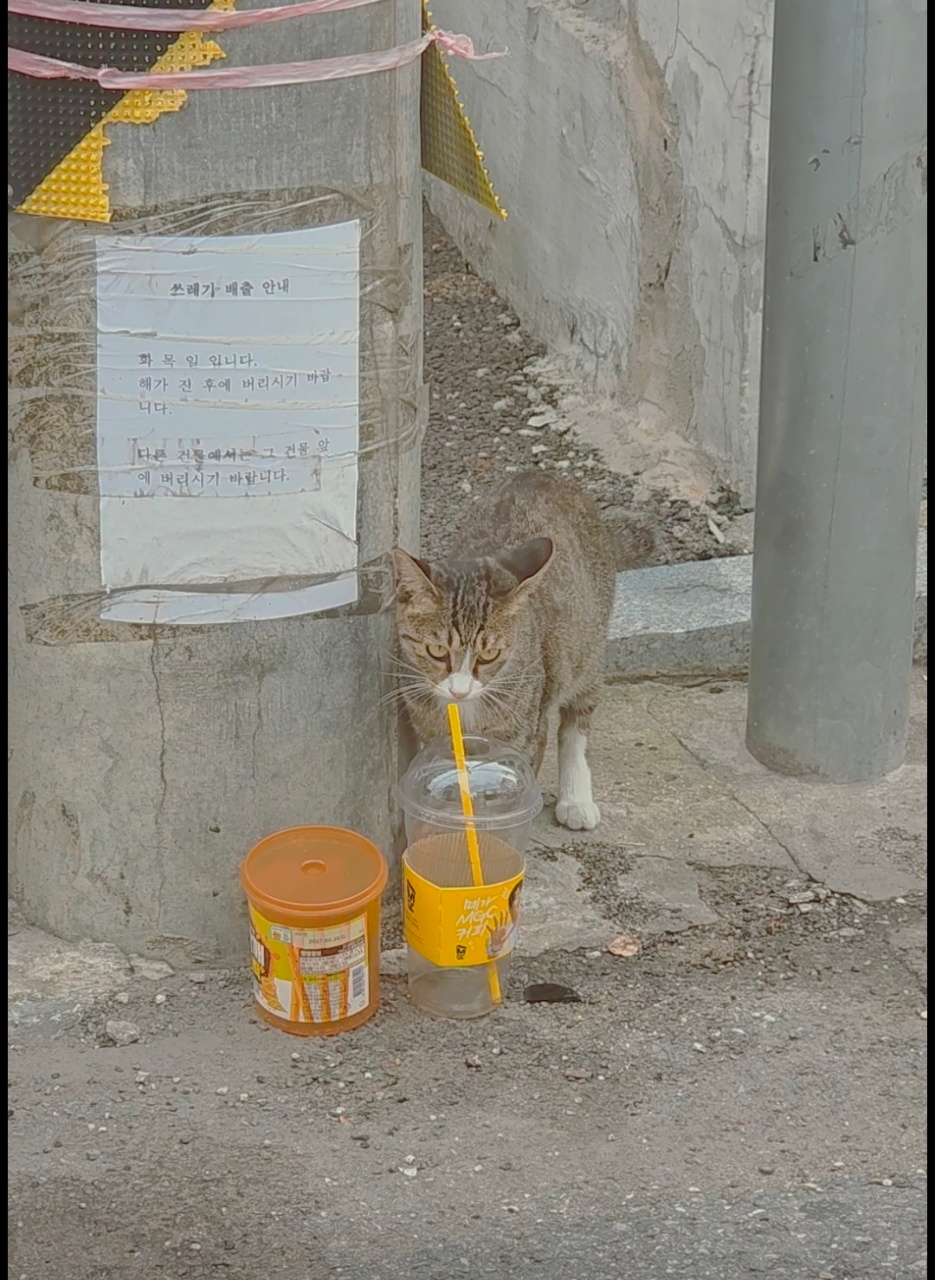 ☕️ 야 너두? 야나두!