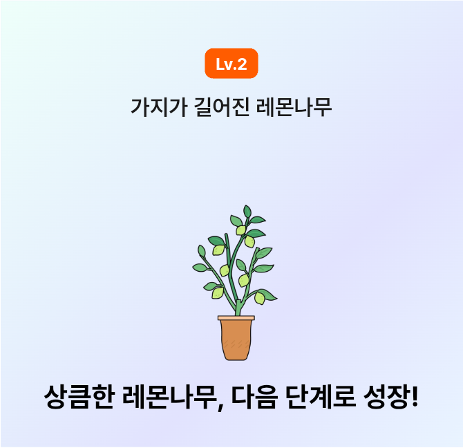 🍋 레몬트리