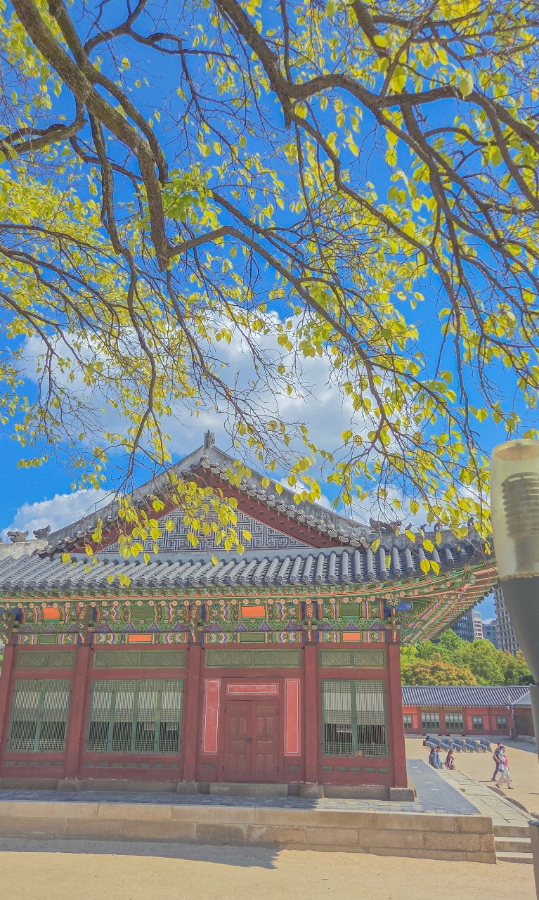 📷 가을 산책