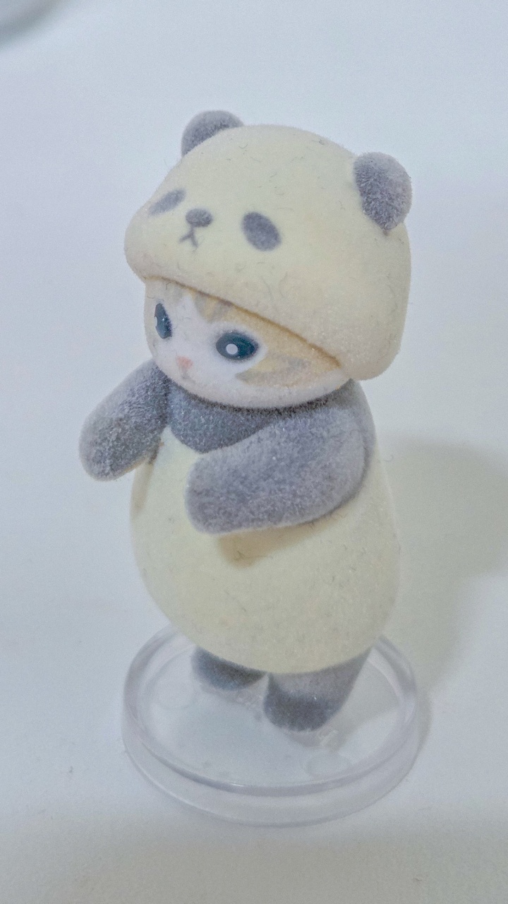 🐱 반려동물?