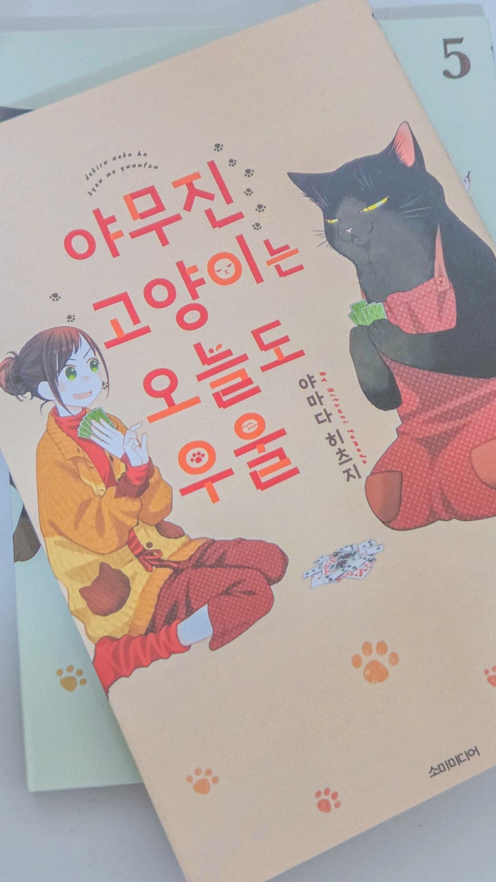 🐱 야무진 고양이