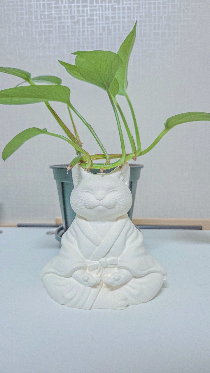 🐱 명상냥