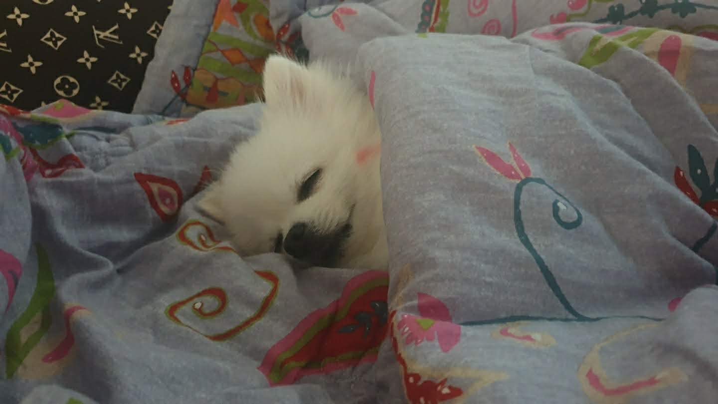 도촬했어요 