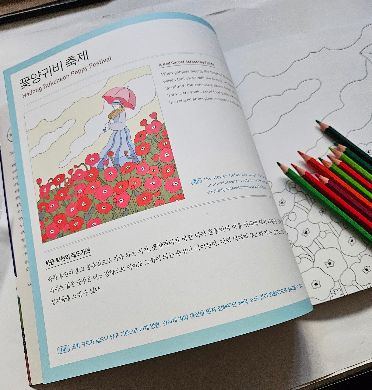 나만의 색 채우기