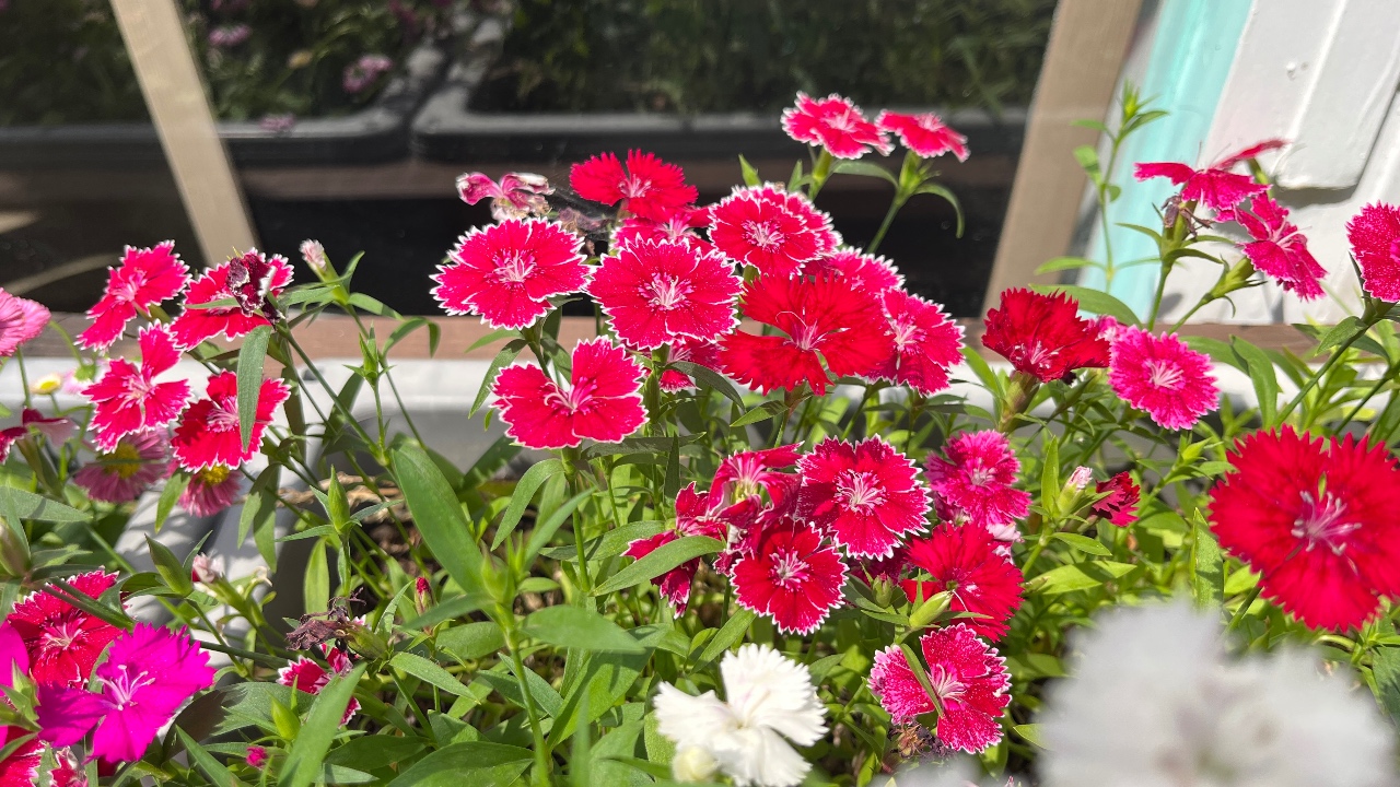 🌼너무 예뻐🌼