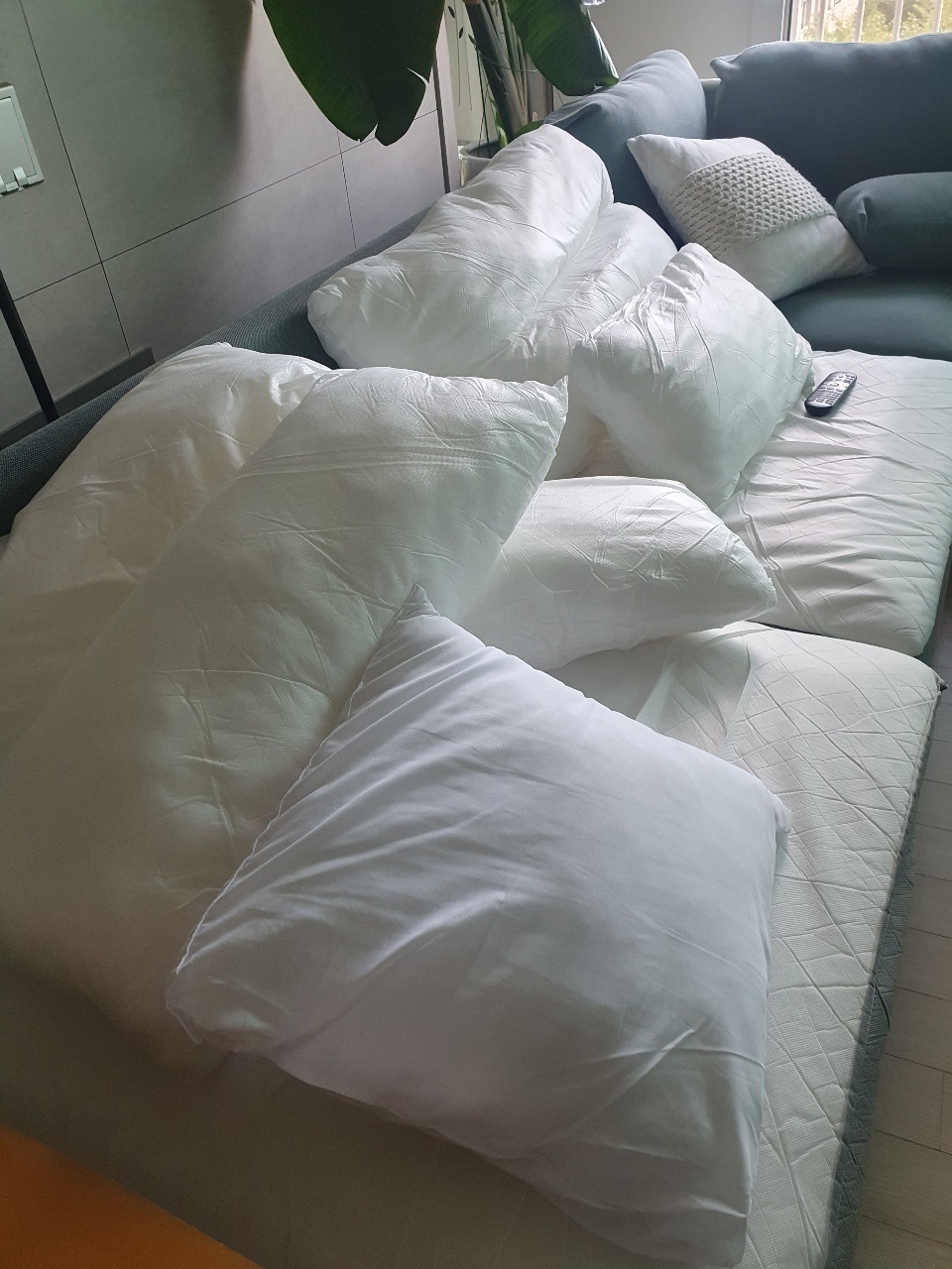 패브릭 쇼파청소