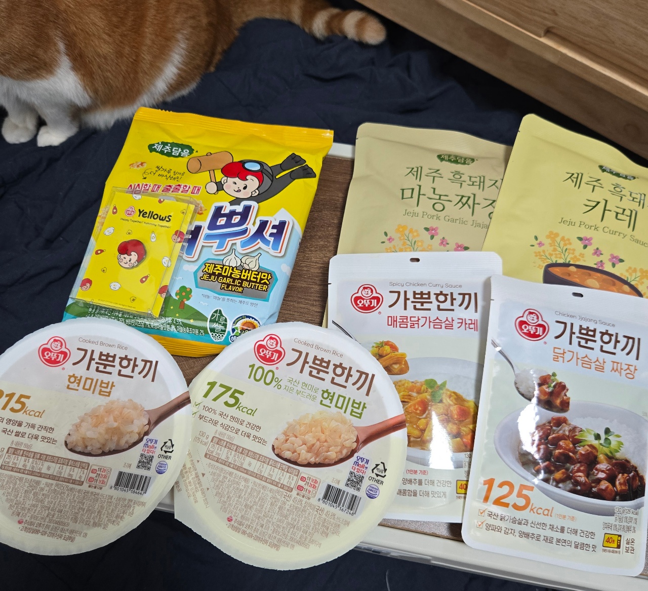 식탁에 놓인 한국 음식 반찬과 밥, 고양이