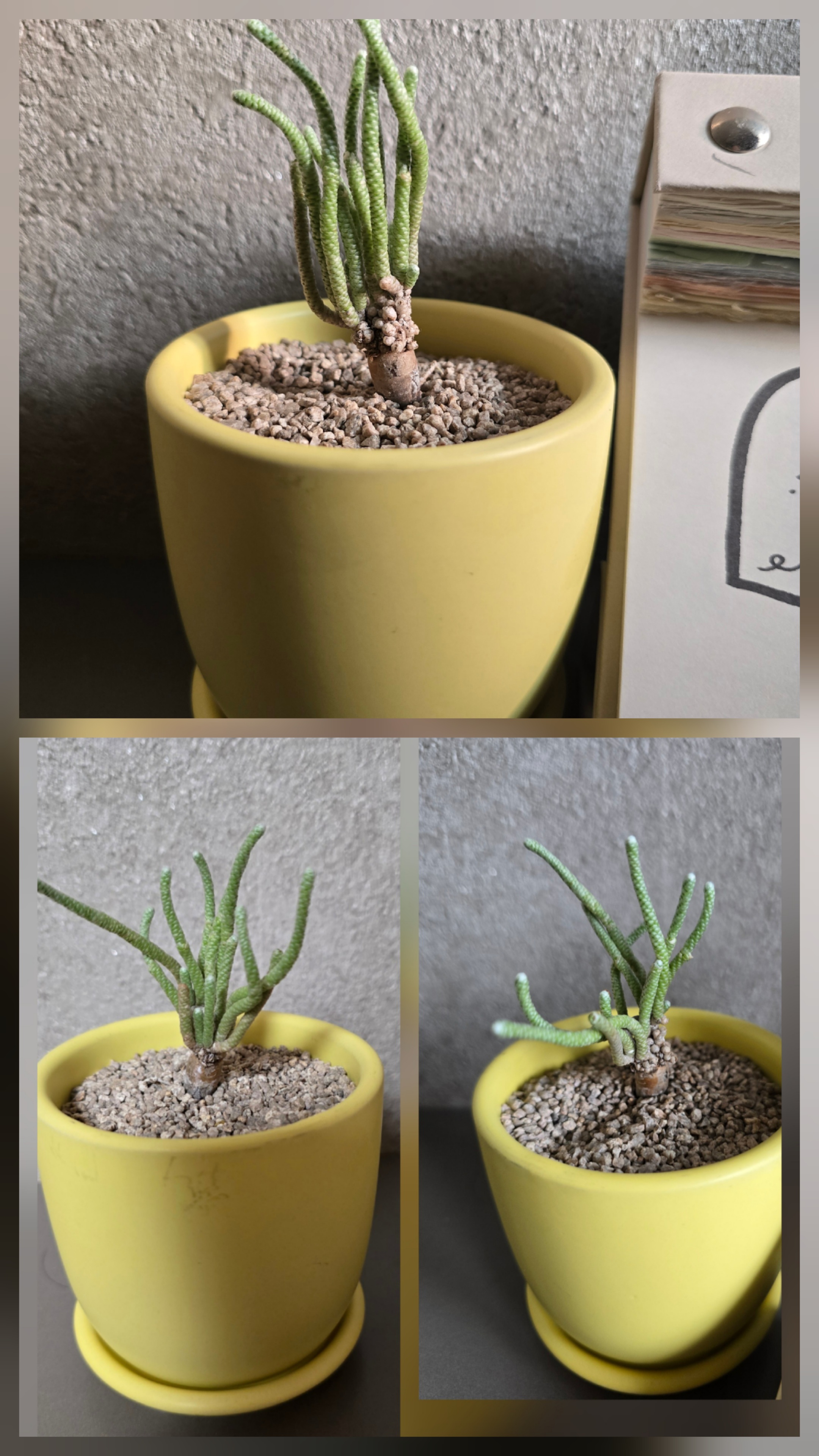 첨부파일