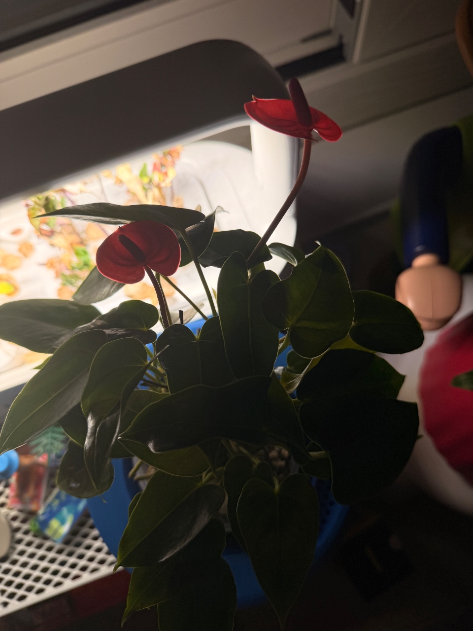 가을맞이 