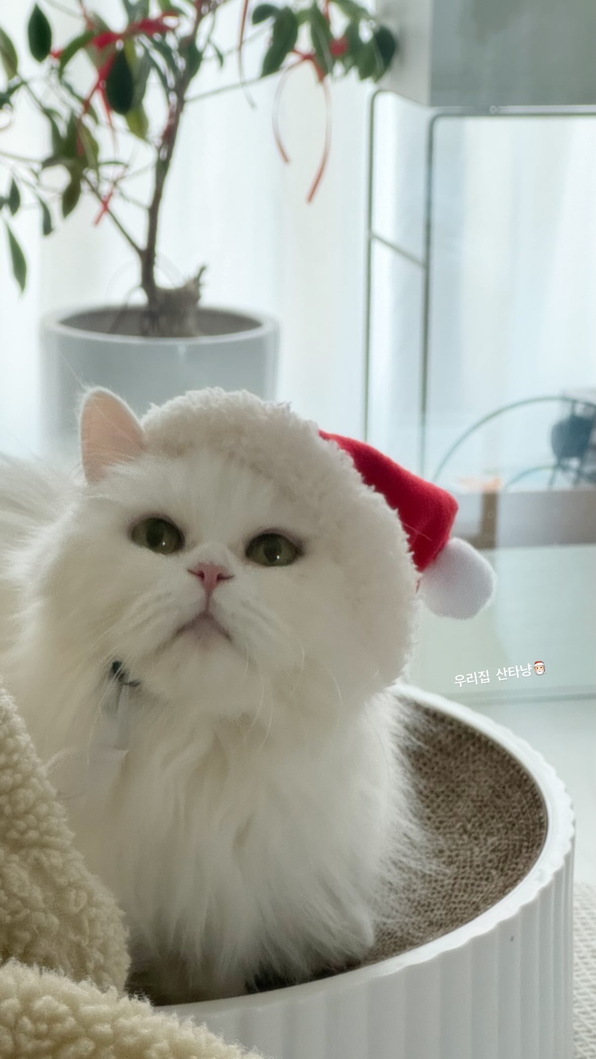 첨부파일