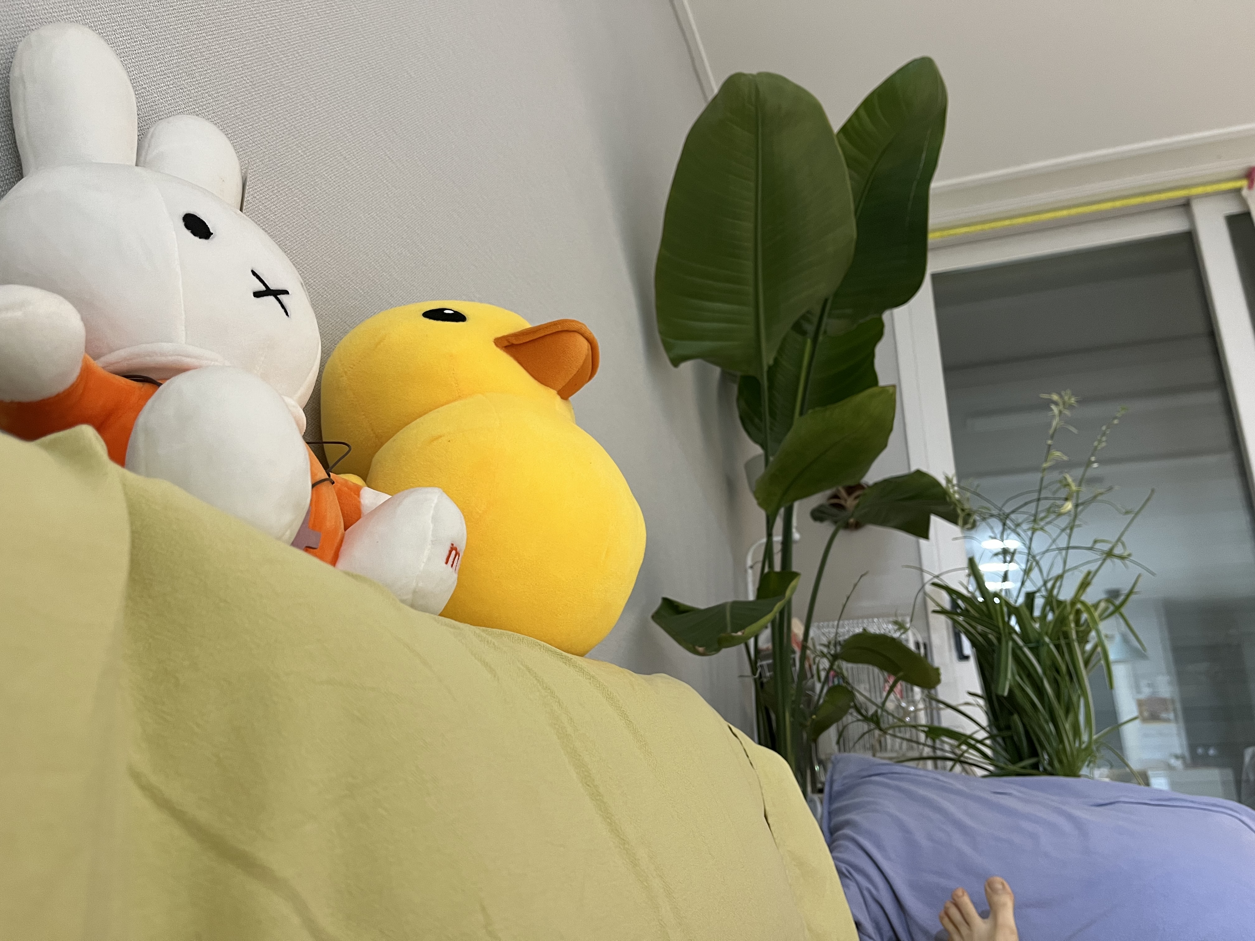 첨부파일