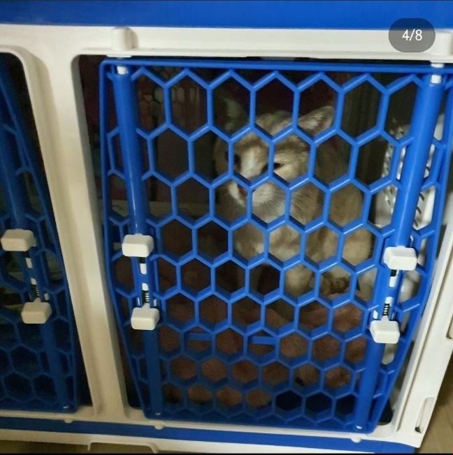 첨부파일