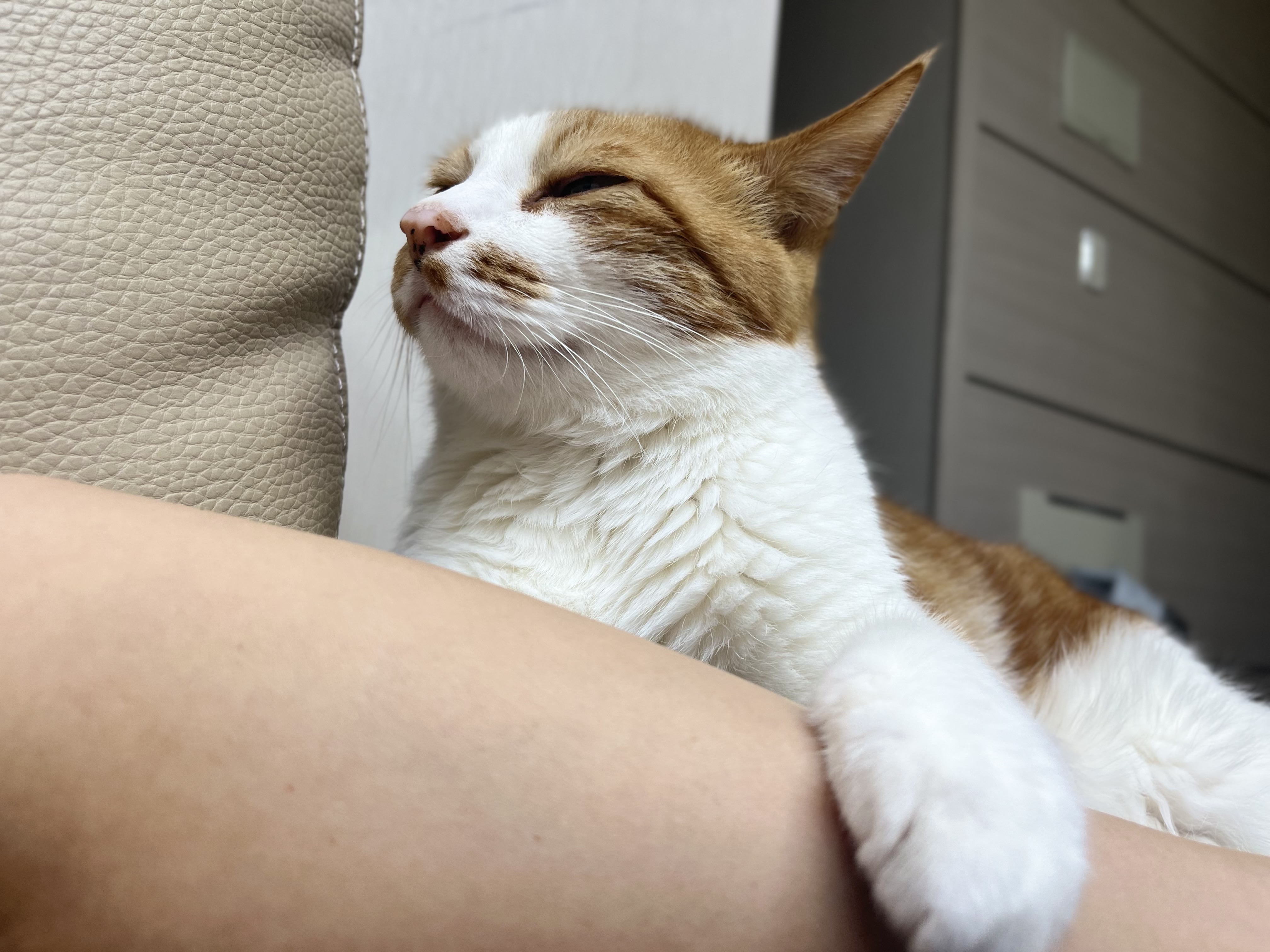 첨부파일
