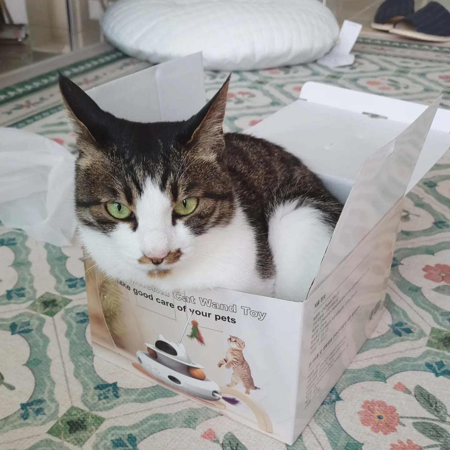 첨부파일
