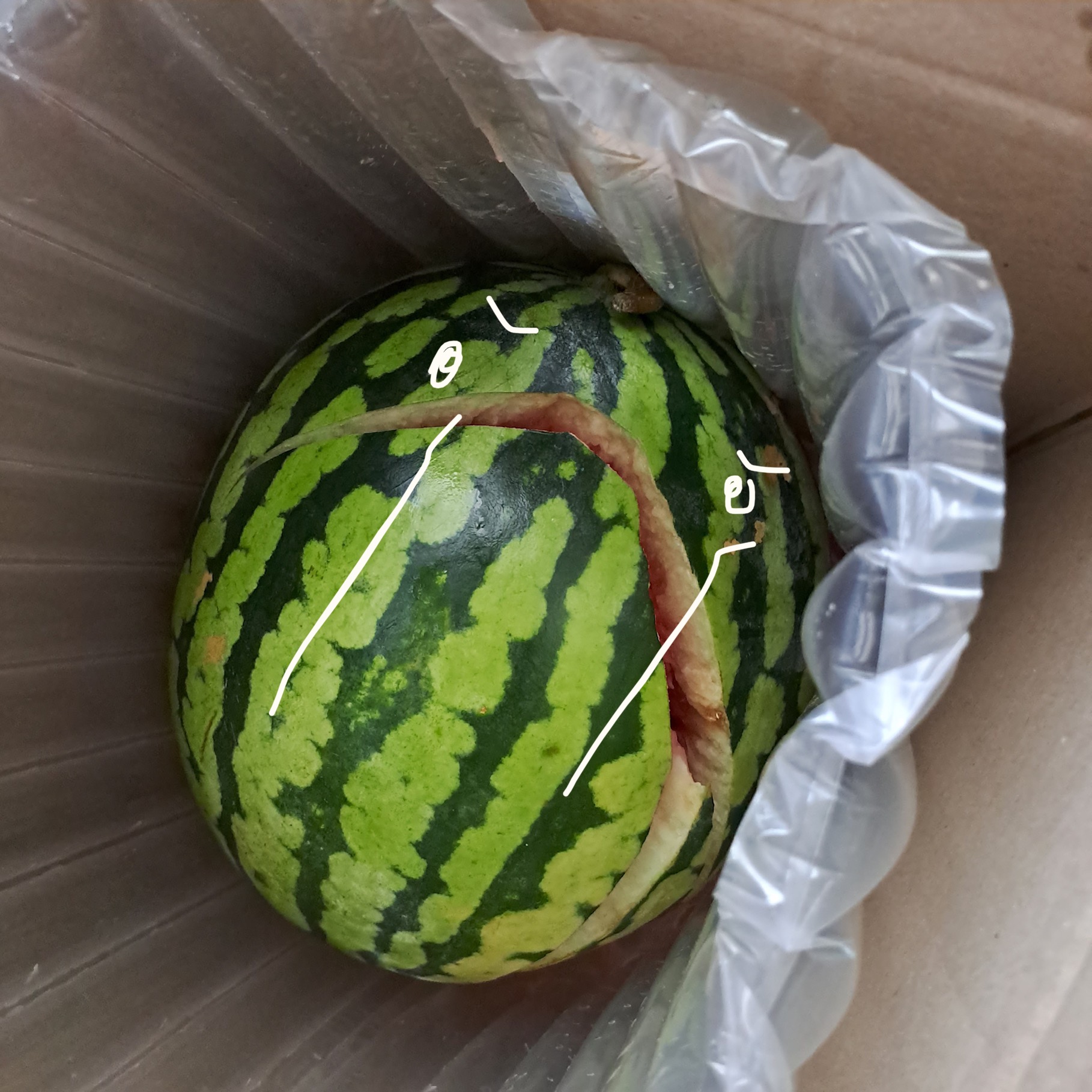 첨부파일