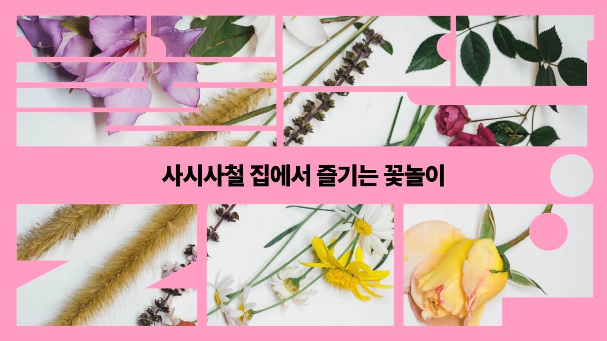 [꿀단.zip] 사시사철 집에서 즐기는 꽃놀이