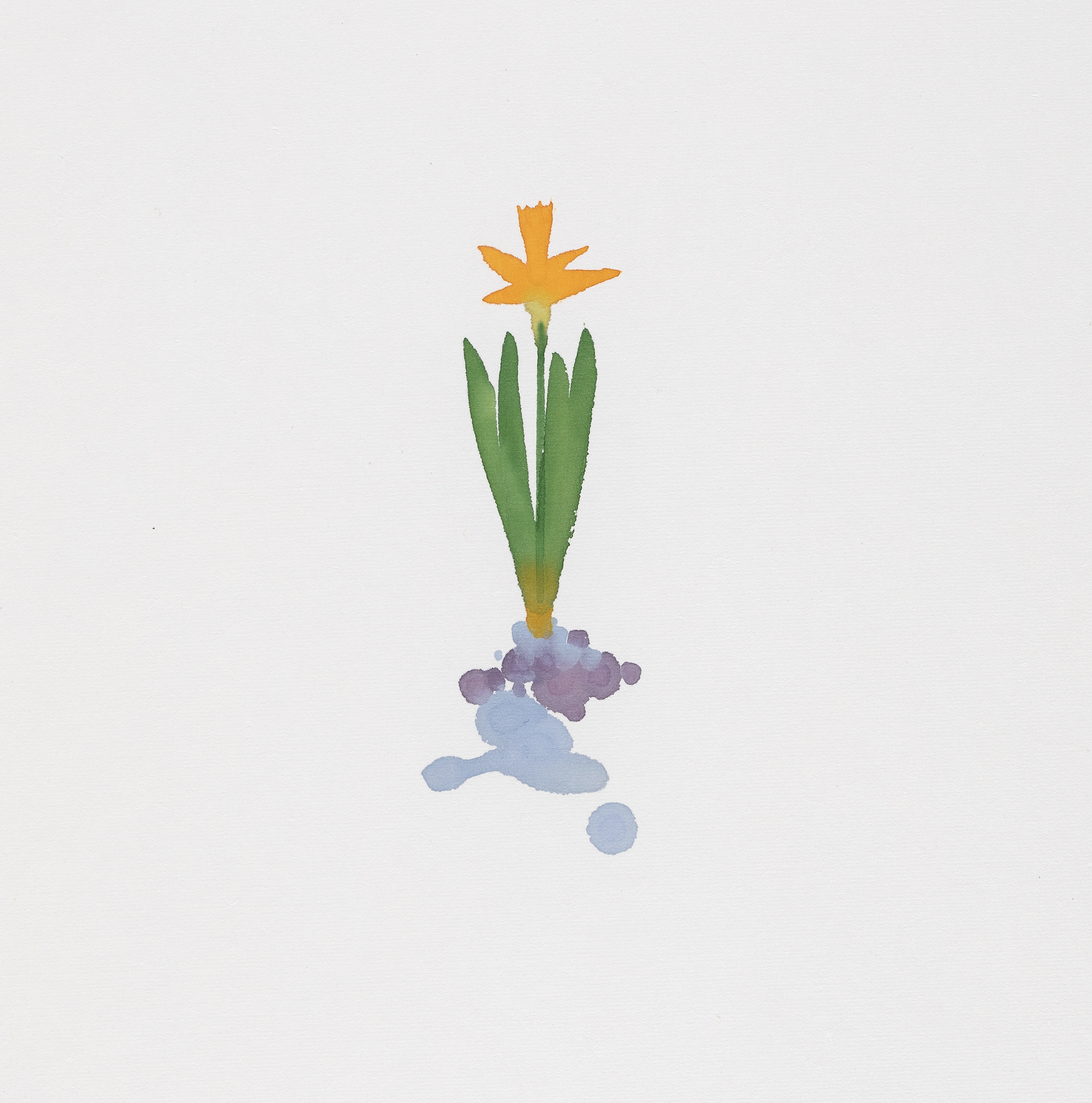 🌼 수선화 꽃글씨 한 송이 받으세요.