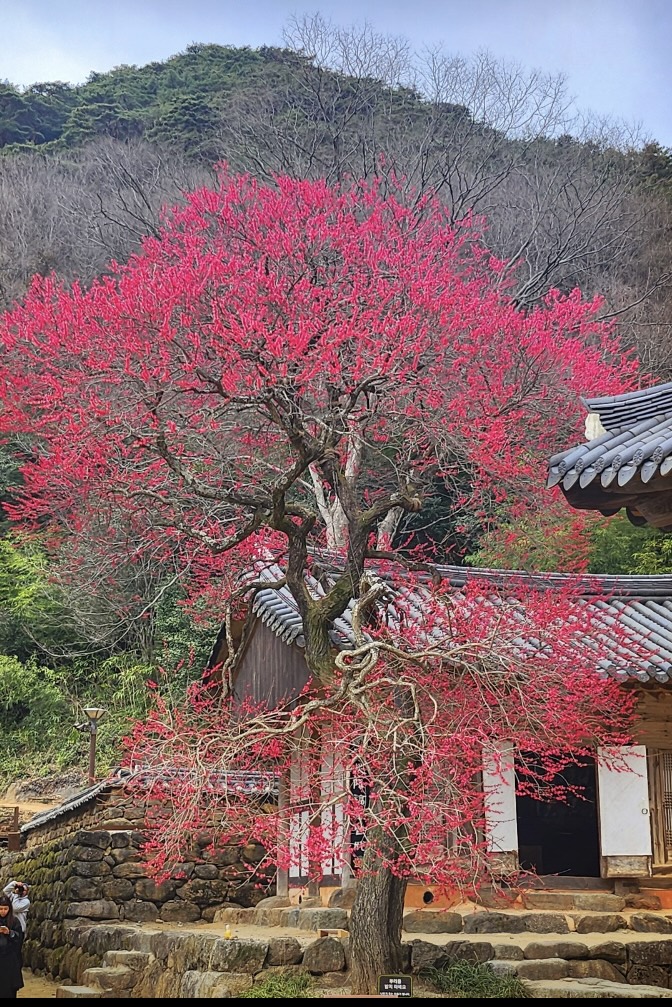 주말을 반납하고 열공~